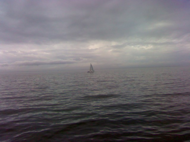 Lone sailboat 1-1-11