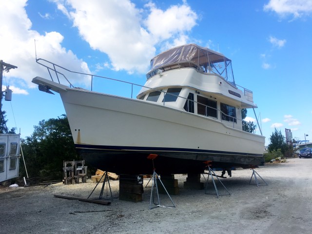 post-matthew-on-the-hill-2