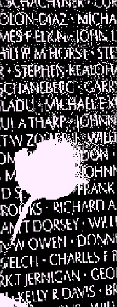 Images from old computer 175